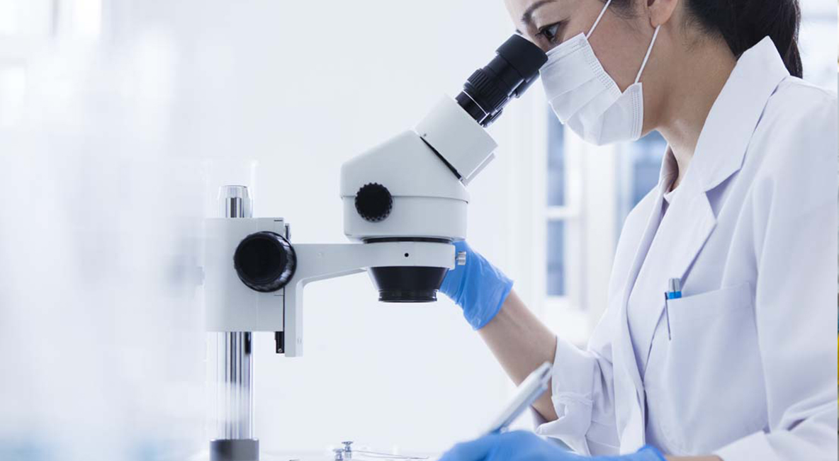 必发·bifa(中国集团)唯一官方网站