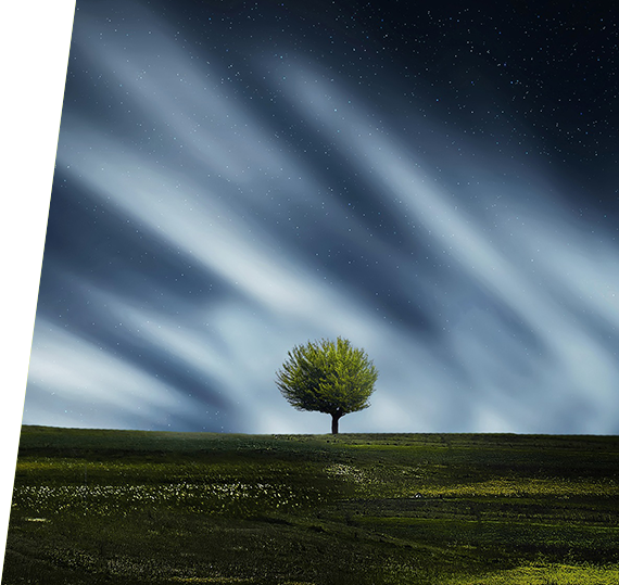 必发·bifa(中国集团)唯一官方网站