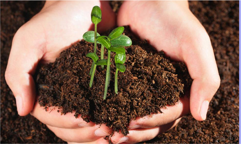 必发·bifa(中国集团)唯一官方网站